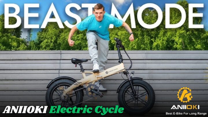 ANIIOKI Electric Cycle